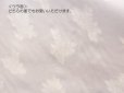 画像8: 播州織　カットジャカード　広幅　ホワイト　花柄