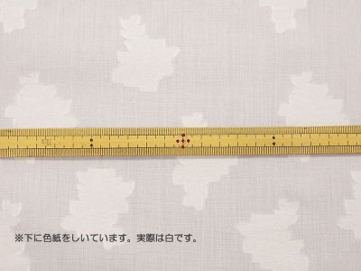 画像3: 播州織　カットジャカード　広幅　ホワイト　花柄